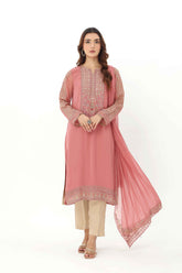 2 Piece Chiffon Embroidered Suit (AP0038)