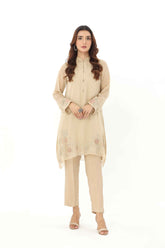 2 Piece Chiffon Embroidered Suit (AS0468)