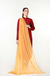 1 Piece Chiffon Embroidered (BB9921)