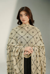 1 Piece Chiffon Embroidered Dupatta (CD0015)