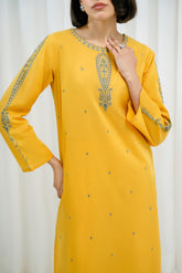 2 Piece Lawn Embroidered Suit (CP0040)