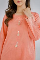 2 Piece Lawn Embroidered (CP0093)