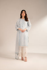 2 Piece Printed Lawn Embroidered (CS0010)