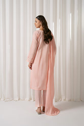 3 Piece Cotton Embroidered (CS0045)