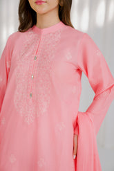 3 Piece Lawn Embroidered Suit (CS0115)