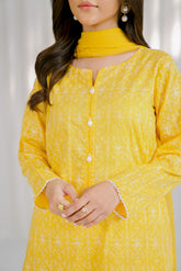 3 Piece Lawn Embroidered Suit (CS0116)