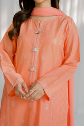 3 Piece Lawn Embroidered Suit (CS0117)