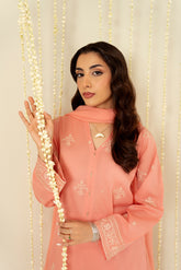 3 Piece Lawn Embroidered Suit (CS0118)