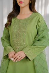 3 Piece Printed Cotton Silk Embroidered Suit (CS0125)