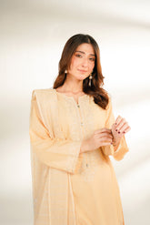 3 Piece Lawn Embroidered Suit (CS0161)