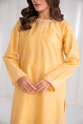 2 Piece Lawn Embroidered Suit (CS0184)