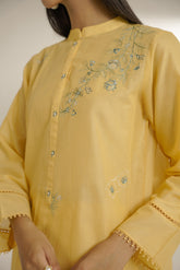 2 Piece Lawn Embroidered Suit (CS0203)