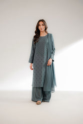 3 Piece Cotton Karandi Embroidered Suit (CS0302)