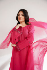 3 Piece Cotton Karandi Embroidered Suit (CS0324)