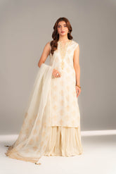 3 Piece Printed Lawn Embroidered Suit (CS0513)