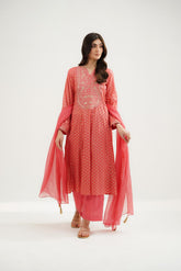 3 Piece Printed Lawn Embroidered Suit (CS0527)