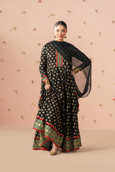 2 Piece Printed Lawn Printed Suit (CS0530)