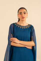 2 Piece Chiffon Embroidered Suit (FS0068)