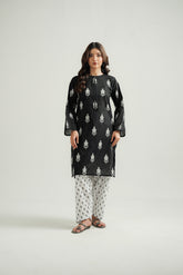 2 Piece Printed Lawn Printed Suit (CP0488)