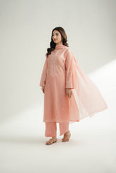 3 Piece Lawn Embroidered Suit (CS0568)