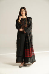 3 Piece Cotton Silk Embroidered Suit (CS0538)