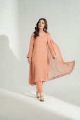 3 Piece Chiffon Embroidered Suit (FL0194)