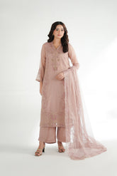3 Piece Emboss Net Embroidered Suit (FL0227)