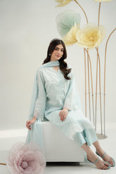 3 Piece Lawn Embroidered Suit (CS0533)
