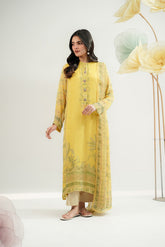 2 Piece Chiffon Printed Suit (FS0153)