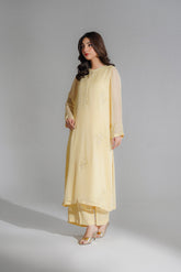 2 Piece Chiffon Embroidered Suit (FL0204)