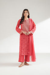 3 Piece Lawn Embroidered Suit (CS0554)