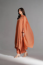 3 Piece Chiffon Embroidered Suit (FS0190)