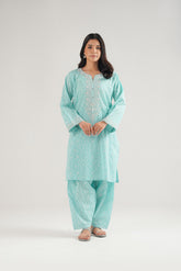 2 Piece Printed Lawn Embroidered Suit (CP0468)