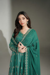 2 Piece Chiffon Embroidered Suit (FW0039)