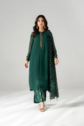 3 Piece Chiffon Embroidered Suit (FS0198)