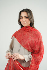 1 Piece Printed Chiffon Printed Stole (CO0031)