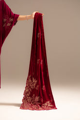 1 Piece Velvet Embroidered Suit (FT0008)