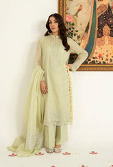 3 Piece Masoori Net Embroidered Suit (CS0238)