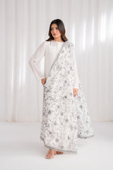 1 Piece Chiffon Embroidered Dupatta (FD0032)