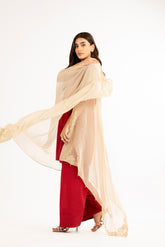 1 Piece Chiffon Embroidered Dupattas/Stoles (FD0044)