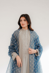 1 Piece Printed Organza Printed Dupattas/Stoles (FD0066)