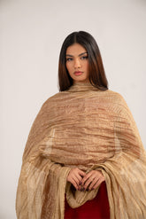 1 Piece Tissue Zari Solid Dupattas/Stoles (FD0083)