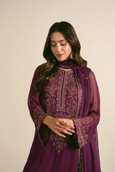 3 Piece Chiffon Embroidered Suit (FL0008)