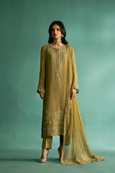 3 Piece Chiffon Embroidered Suit (FL0015)