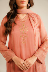 3 Piece Chiffon Embroidered Suit (FL0032)