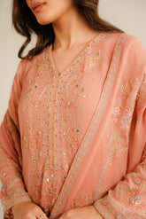 3 Piece Chiffon Embroidered Suit (FL0033)