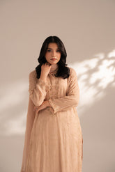 3 Piece Chiffon Embroidered Suit (FL0067)