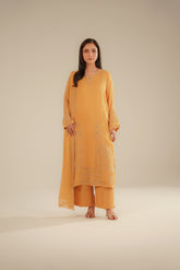 3 Piece Chiffon Embroidered Suit (FL0091)