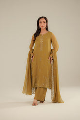 3 Piece Chiffon Embroidered Suit (FL0095)