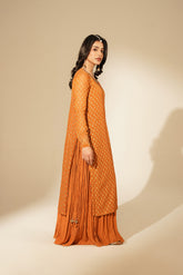 1 Piece Printed Chiffon Embroidered Dress (FL0134)